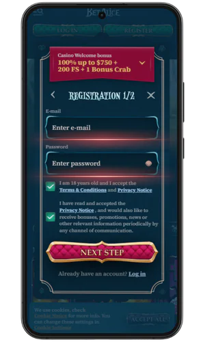 Enter your email and password BetAlice